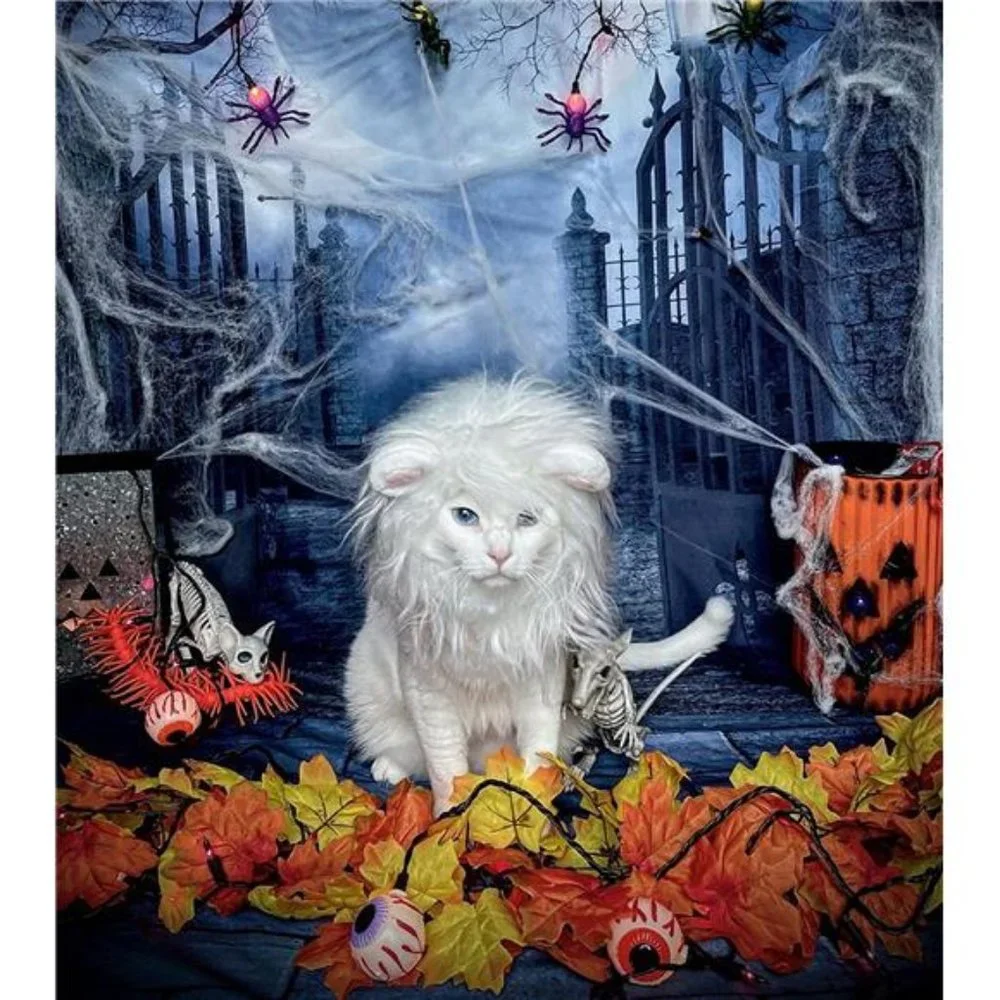 Lion Mane Wig for Cats | Funny Pet Clothing Accessories | Size M White